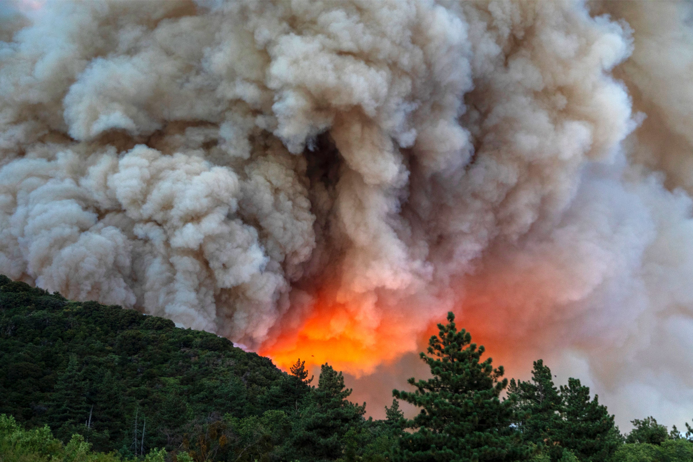 Wildfire Smoke and Your Health